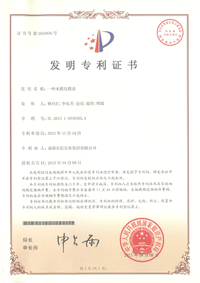 正版管家婆今晚资料