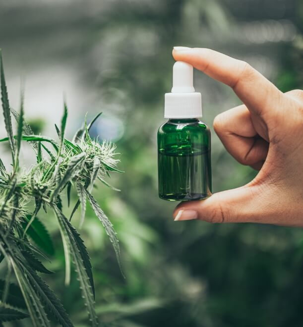 正版管家婆今晚资料
